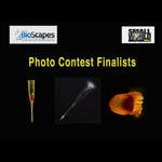 Photo Contest Finalists