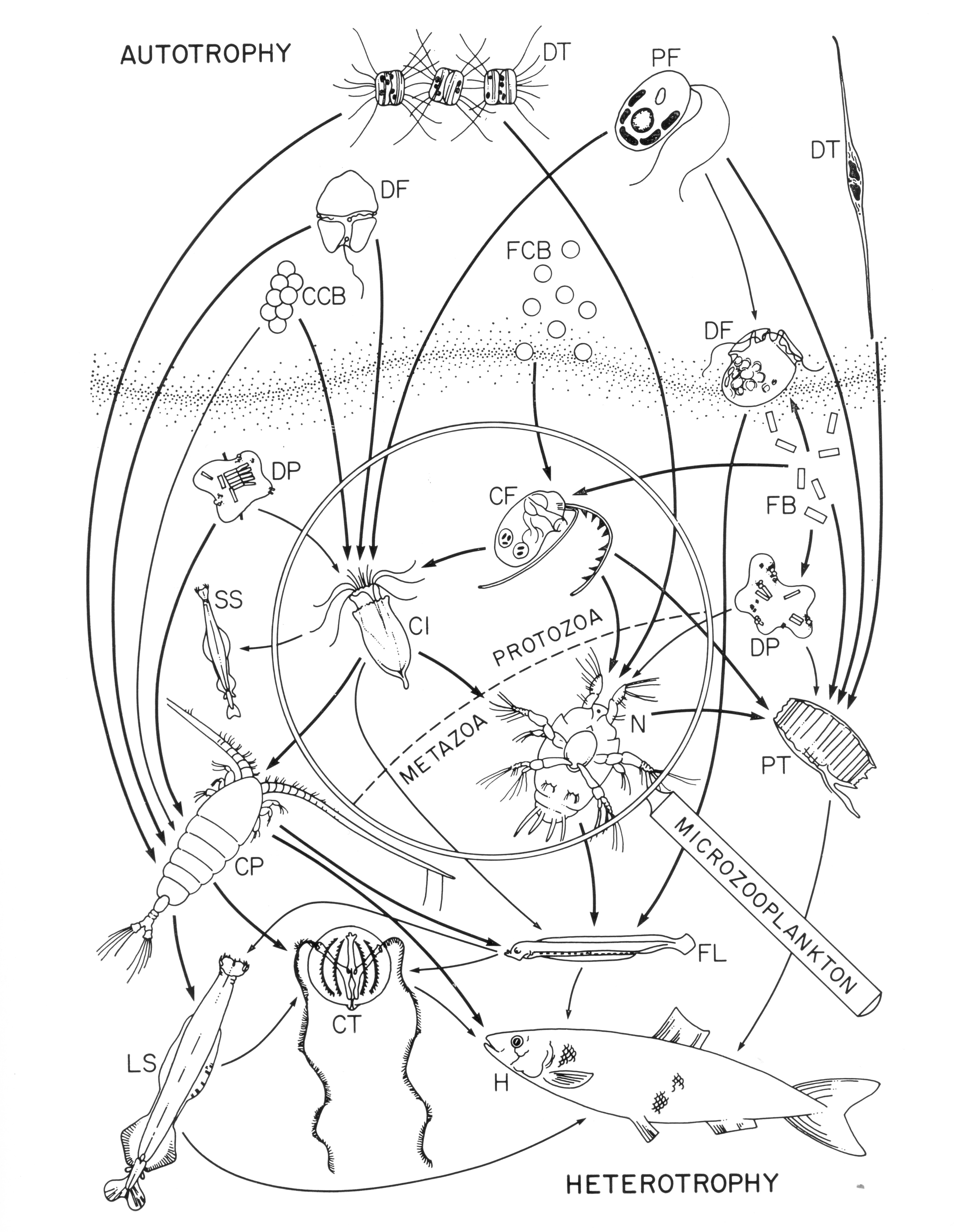 Conover 1982 Fig1