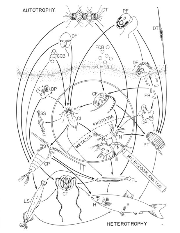 Conover 1982 Fig1