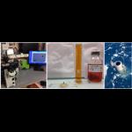 How to see microzooplankton