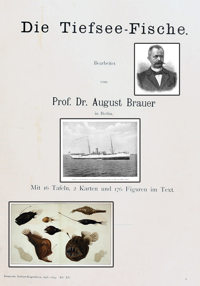 August Brauer Deep-Sea Fish