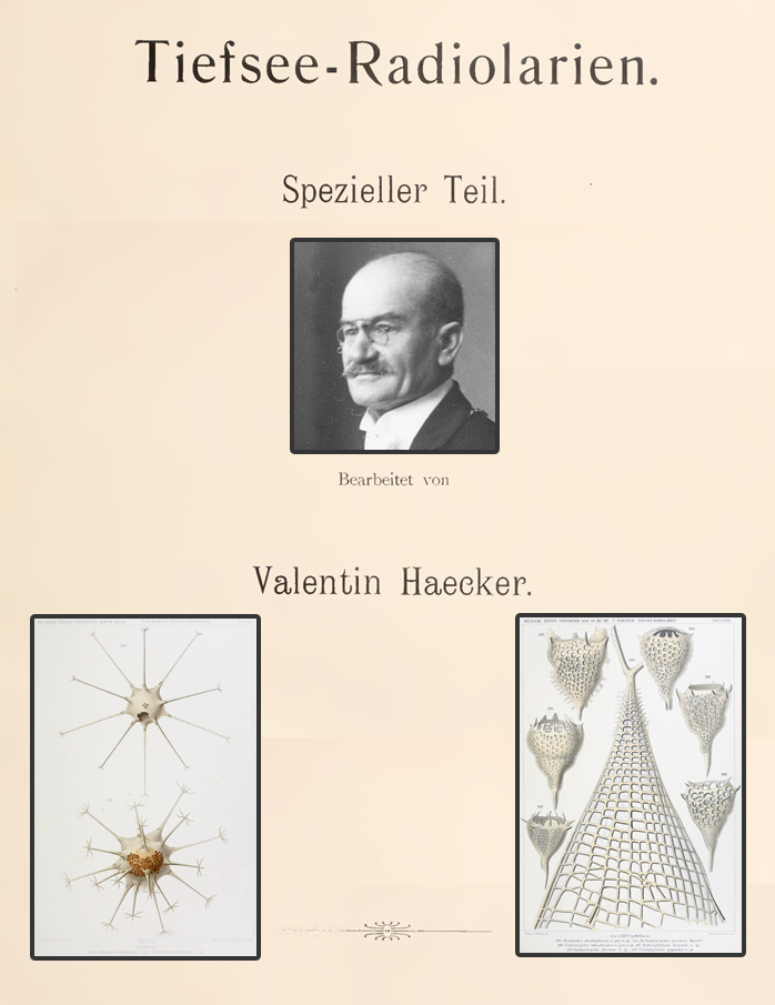 Cover Haecker 1908