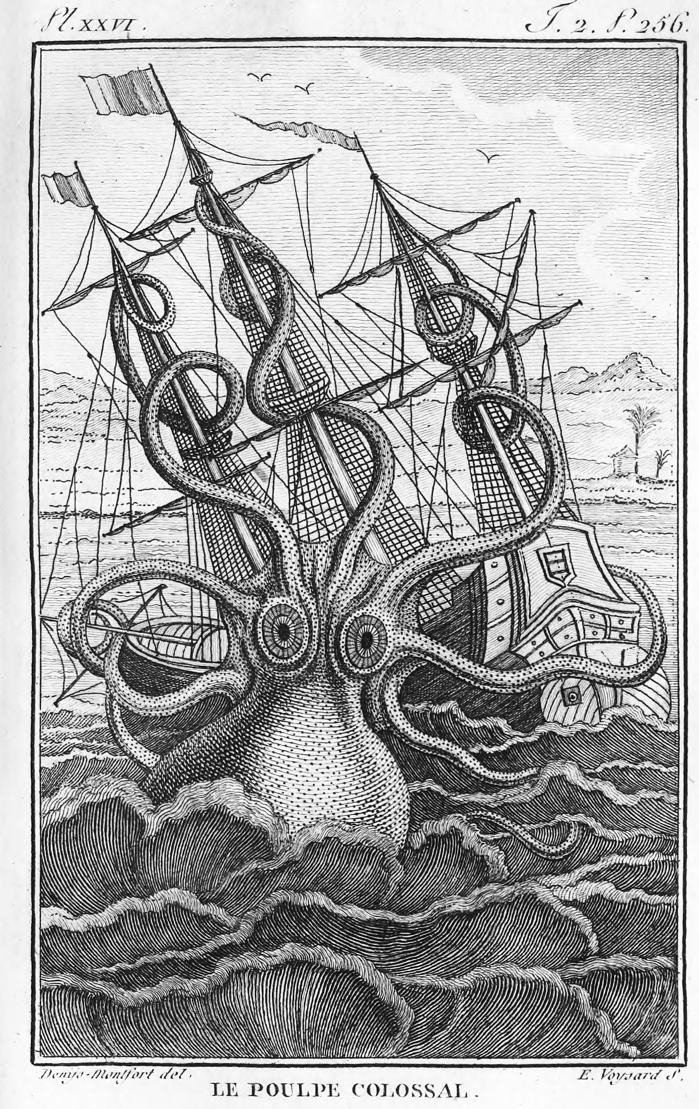 Le Pouple Colossal (Giant Octopus) from Denys-Monfort 1801