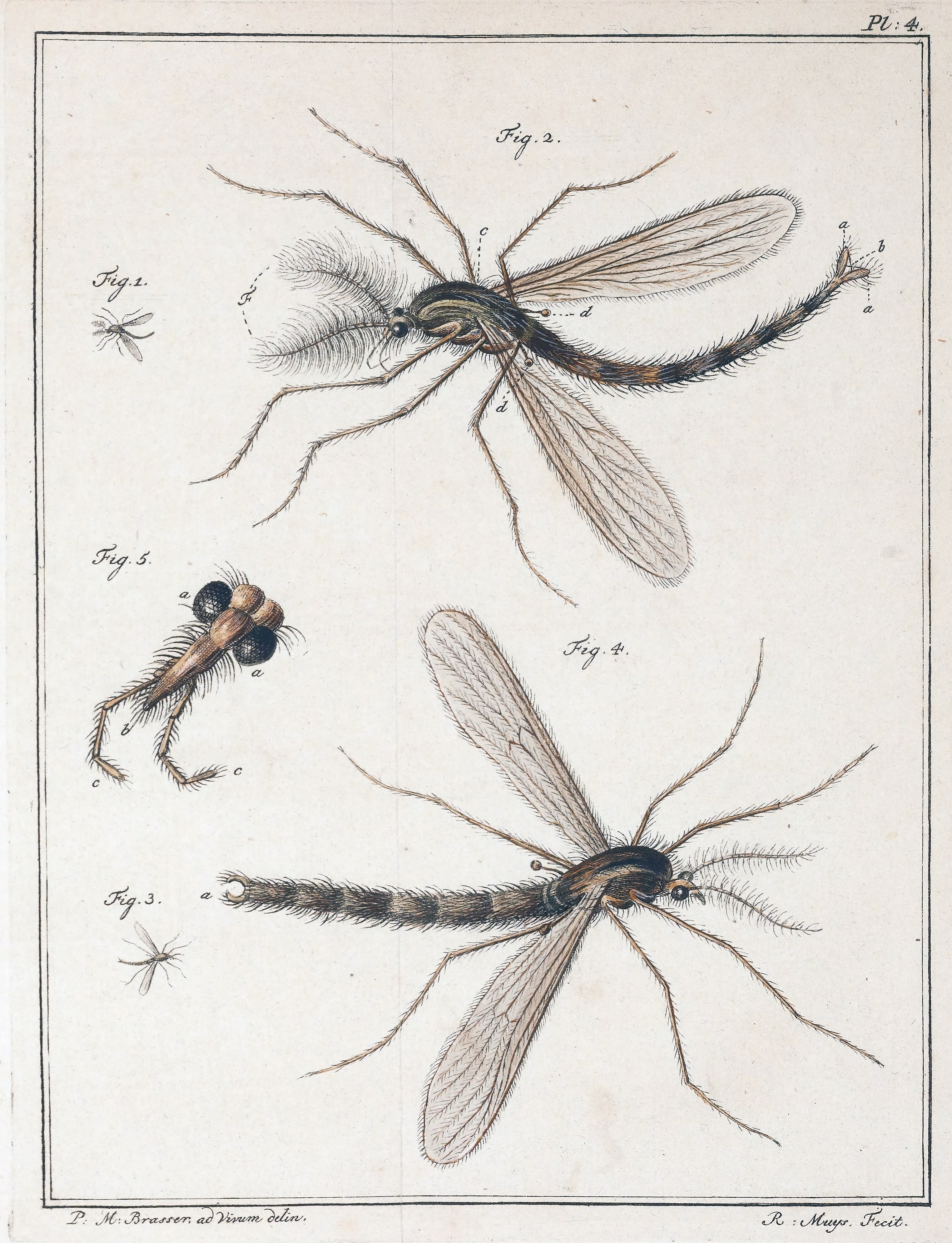 Slabber 1778 Plate 4