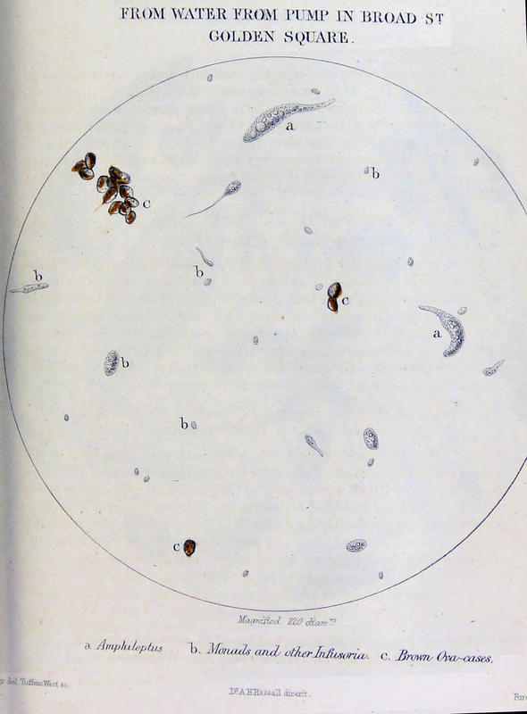Plate 9 Broad Street Pump water - Hassall 1855