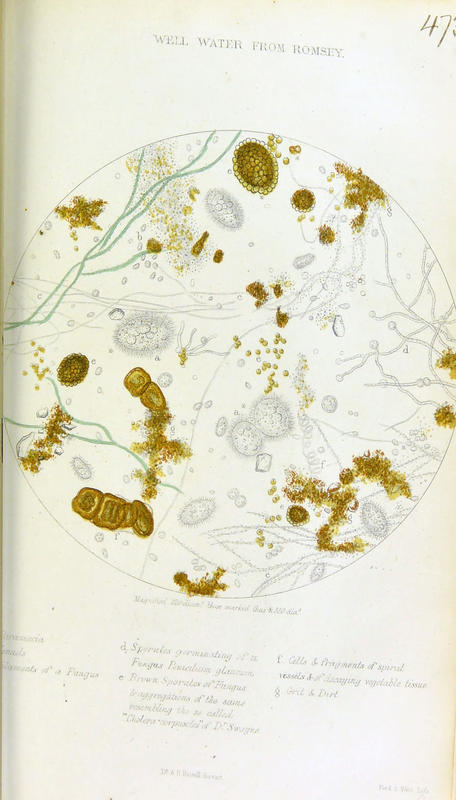 Plate14 Hassall 1855 Well Water Romsey