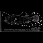 Kinky Deep-Sea Fish