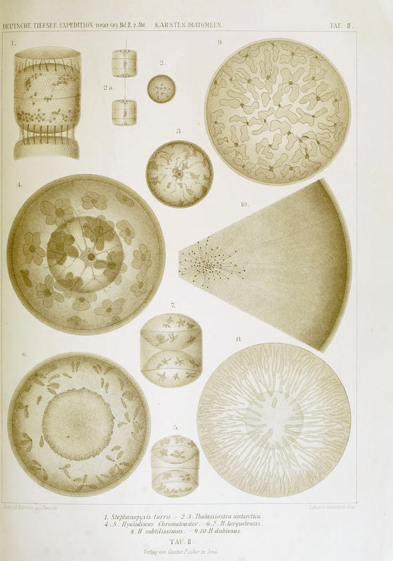 wissenschaftlich22chun_0151