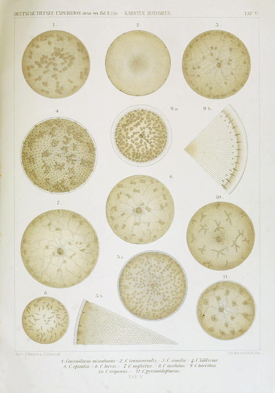 wissenschaftlich22chun_0163