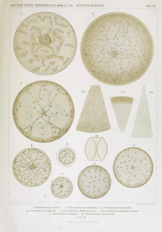 wissenschaftlich22chun_0167