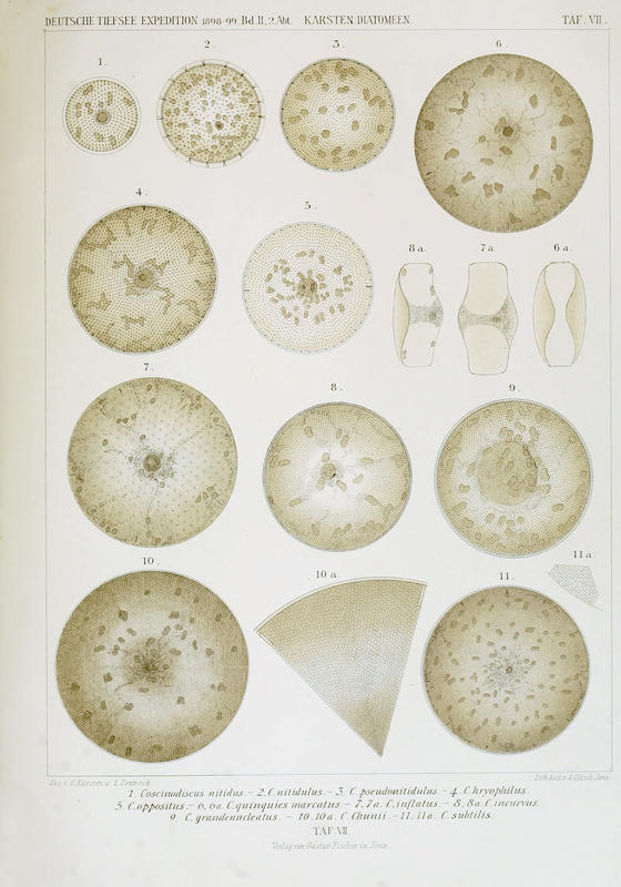 wissenschaftlich22chun_0171