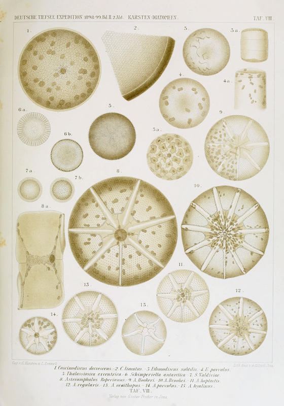 wissenschaftlich22chun_0175