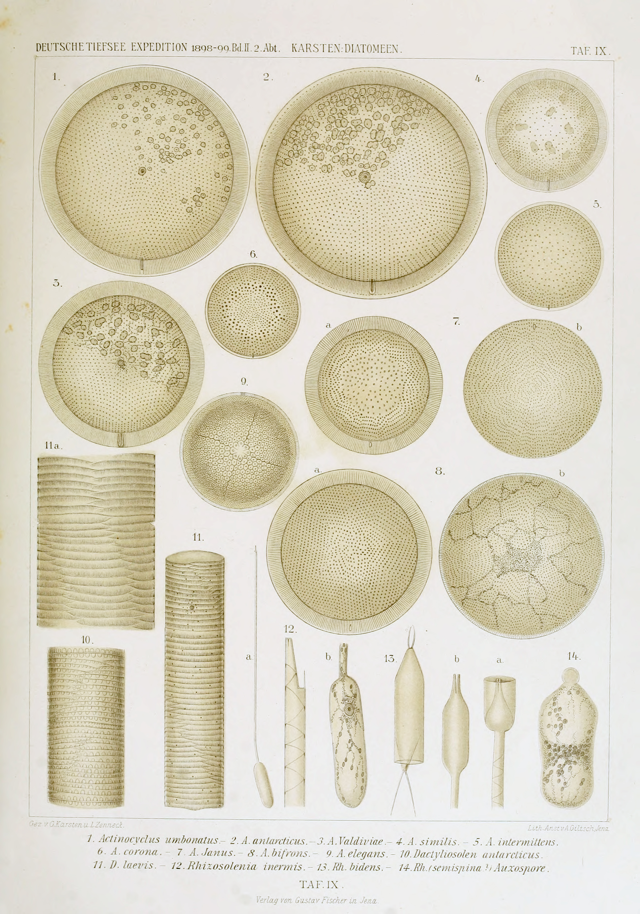 wissenschaftlich22chun_0179