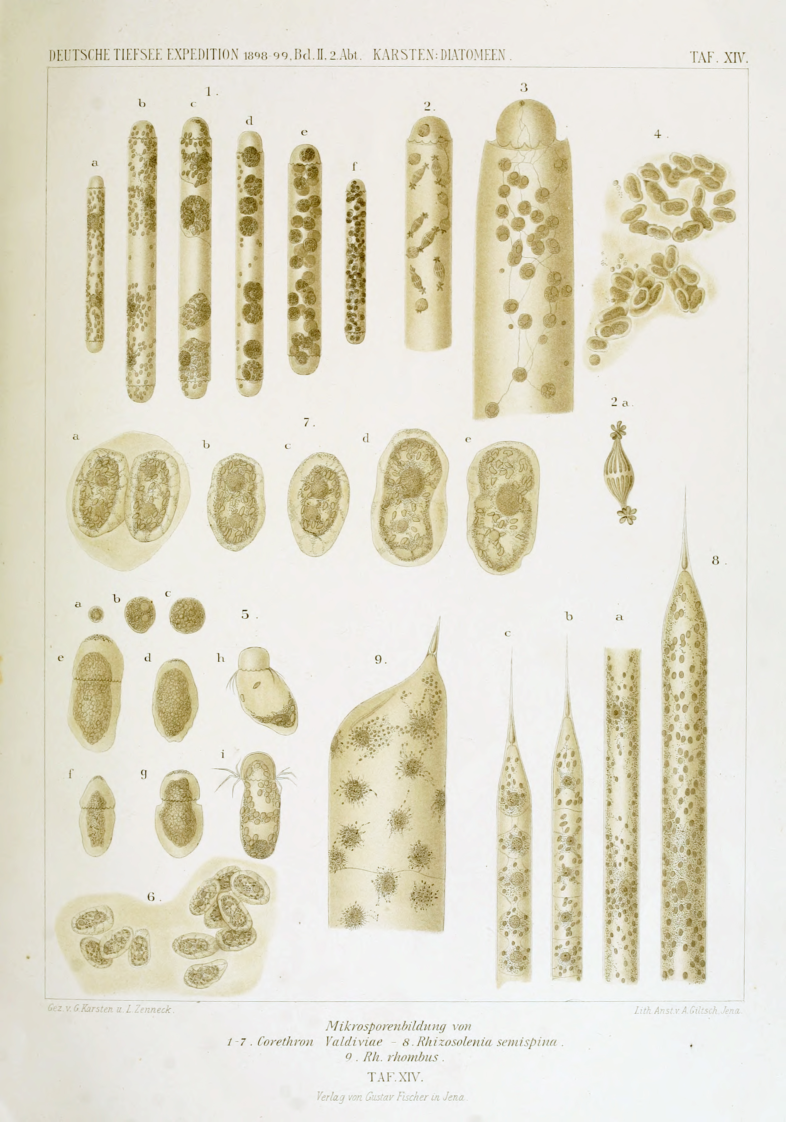 wissenschaftlich22chun_0199