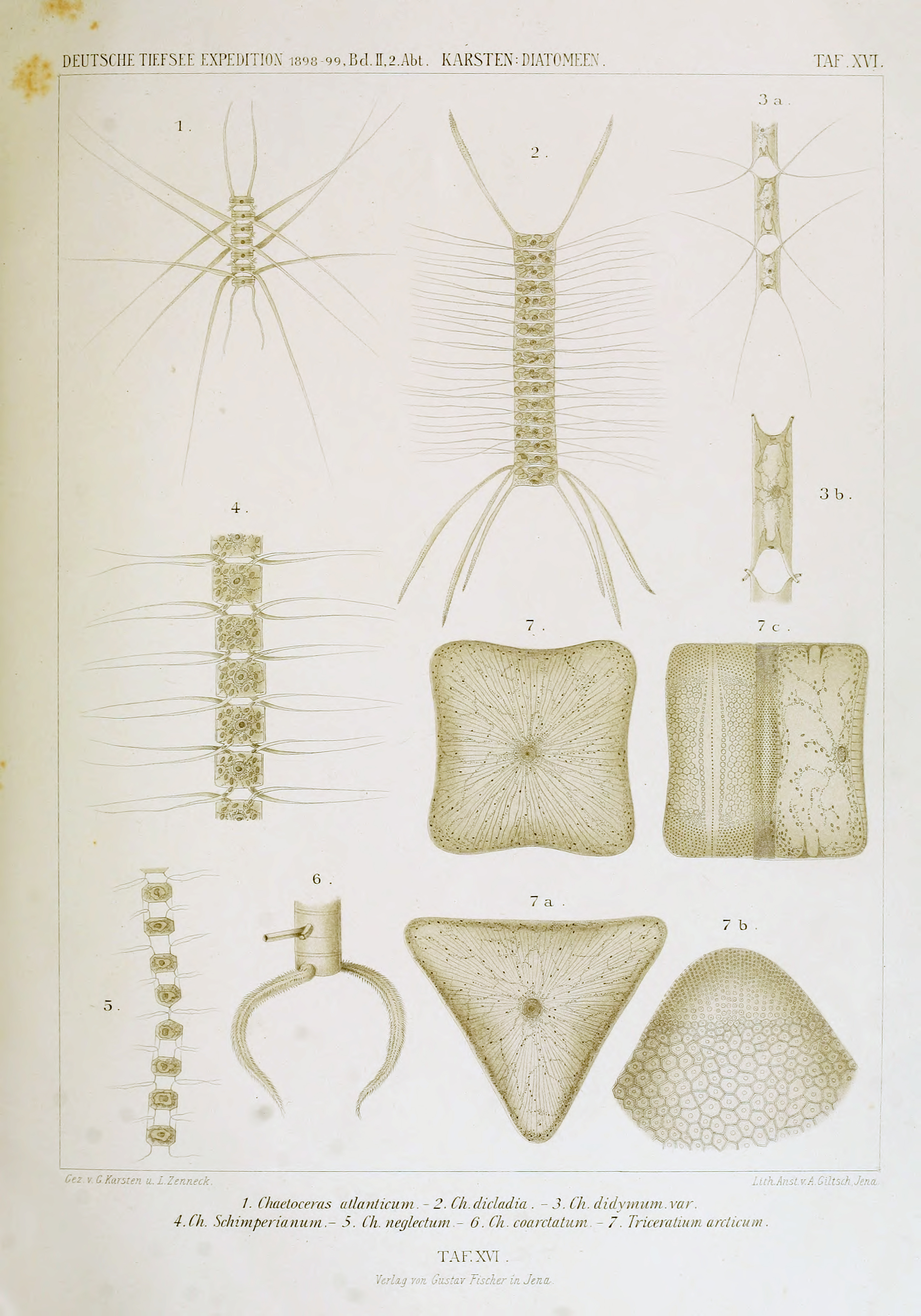 wissenschaftlich22chun_0207