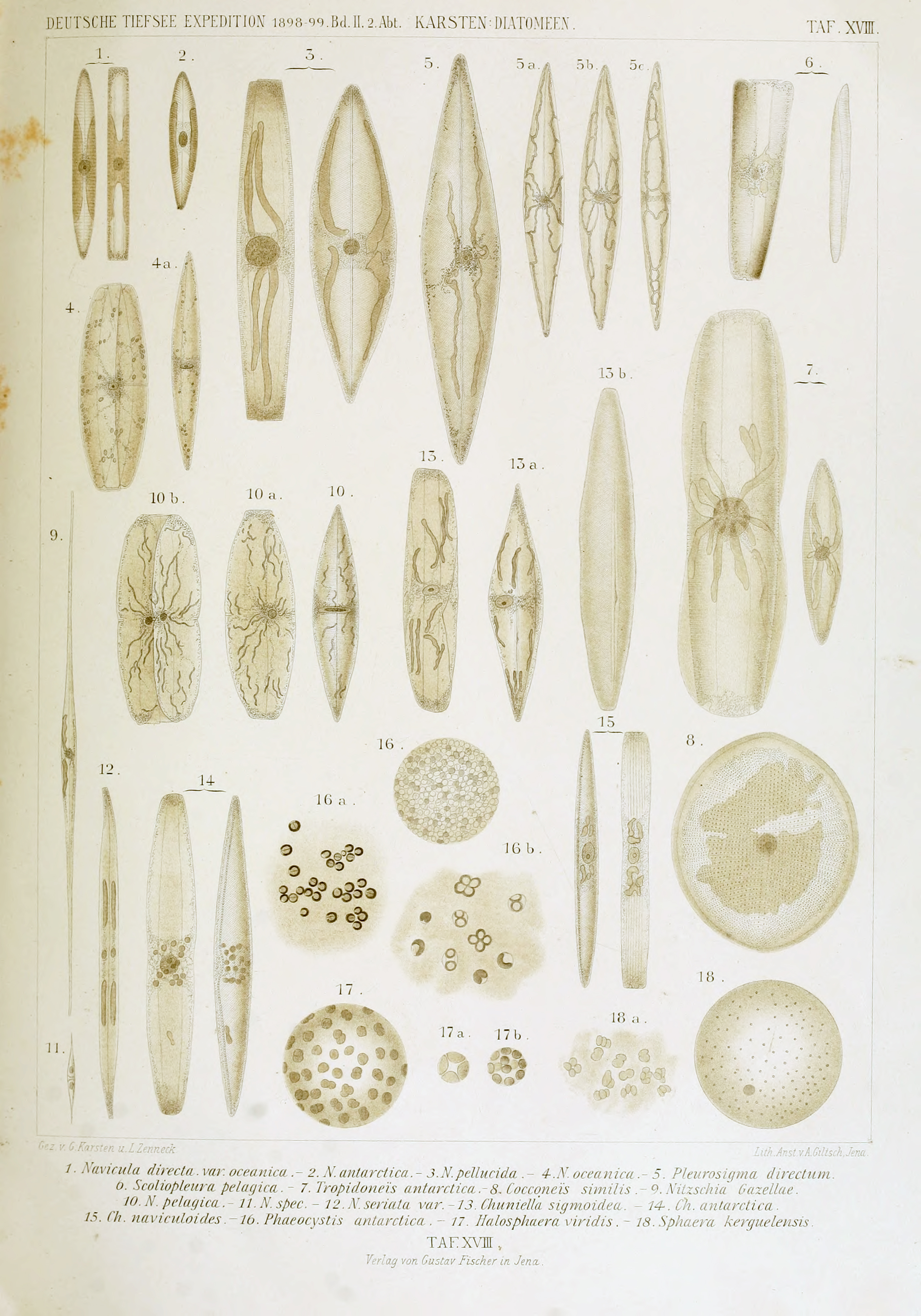 wissenschaftlich22chun_0215