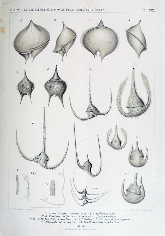 wissenschaftlich22chun_0219