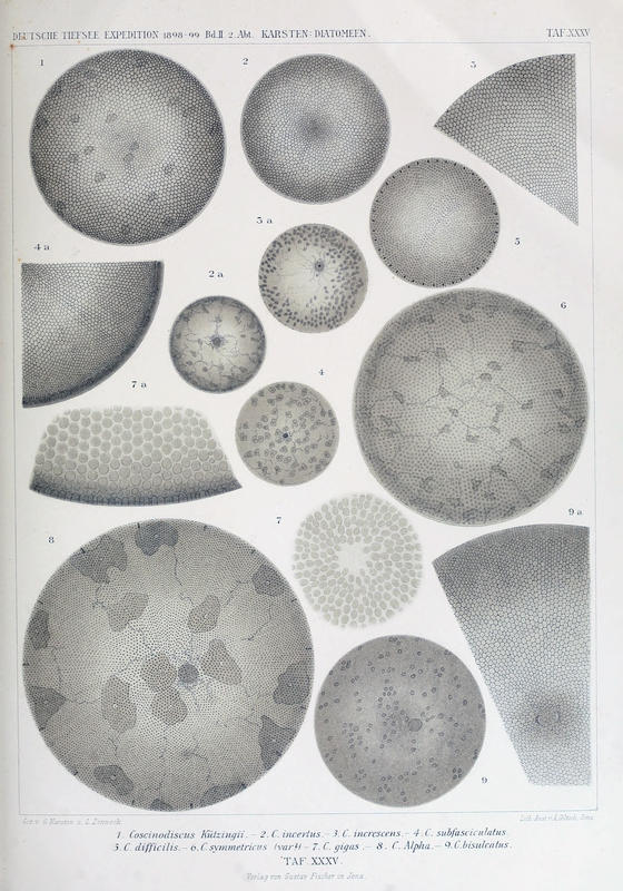 wissenschaftlich22chun_0695