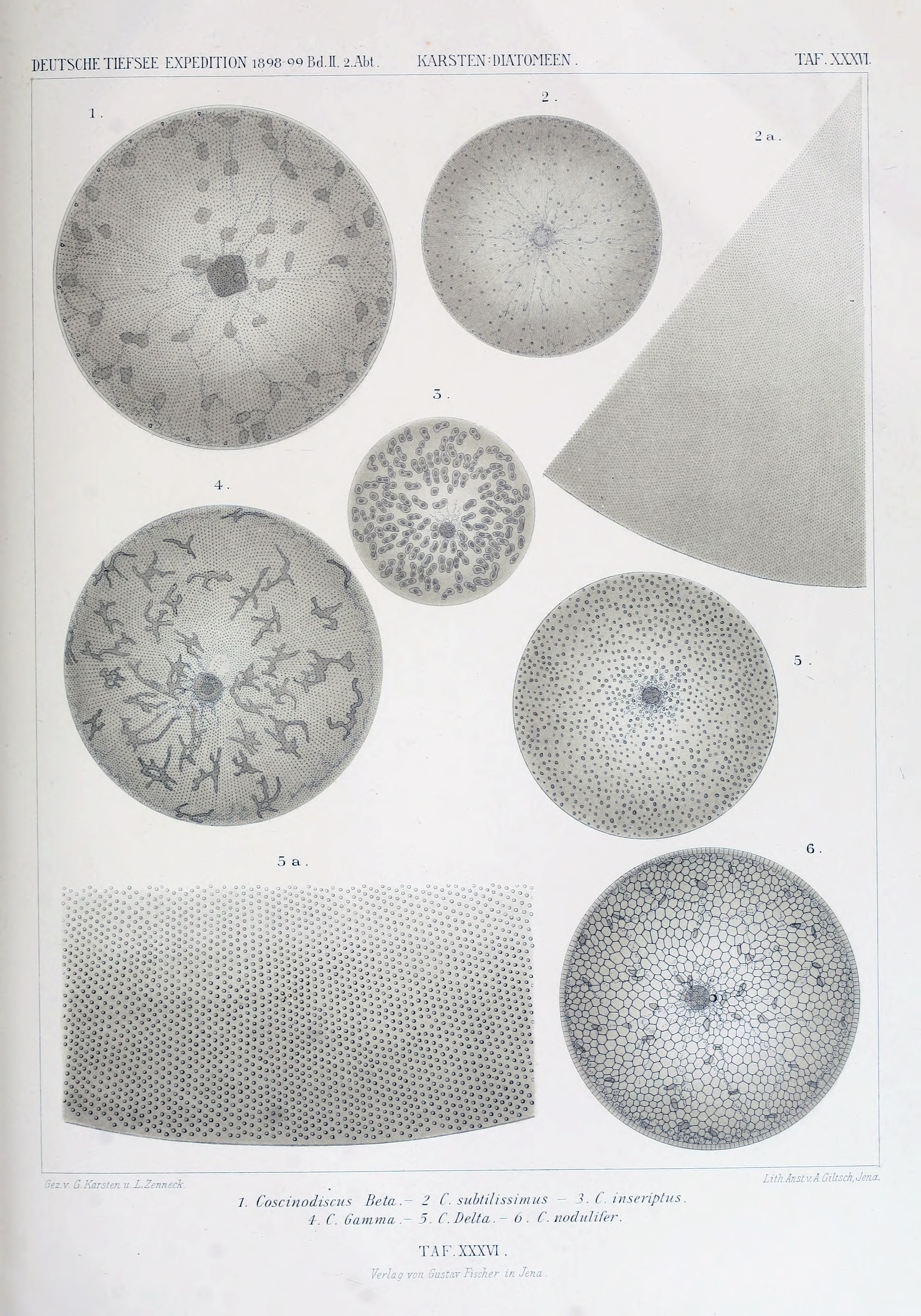 wissenschaftlich22chun_0699