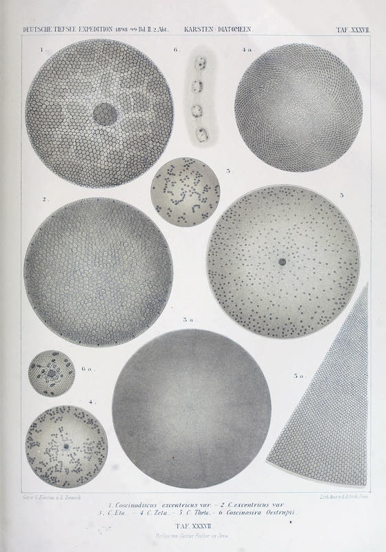 wissenschaftlich22chun_0703