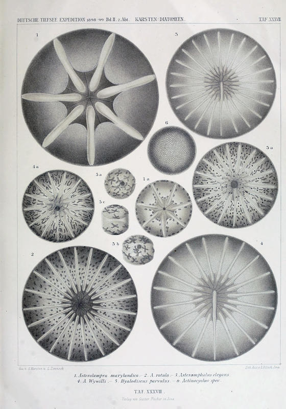 wissenschaftlich22chun_0707