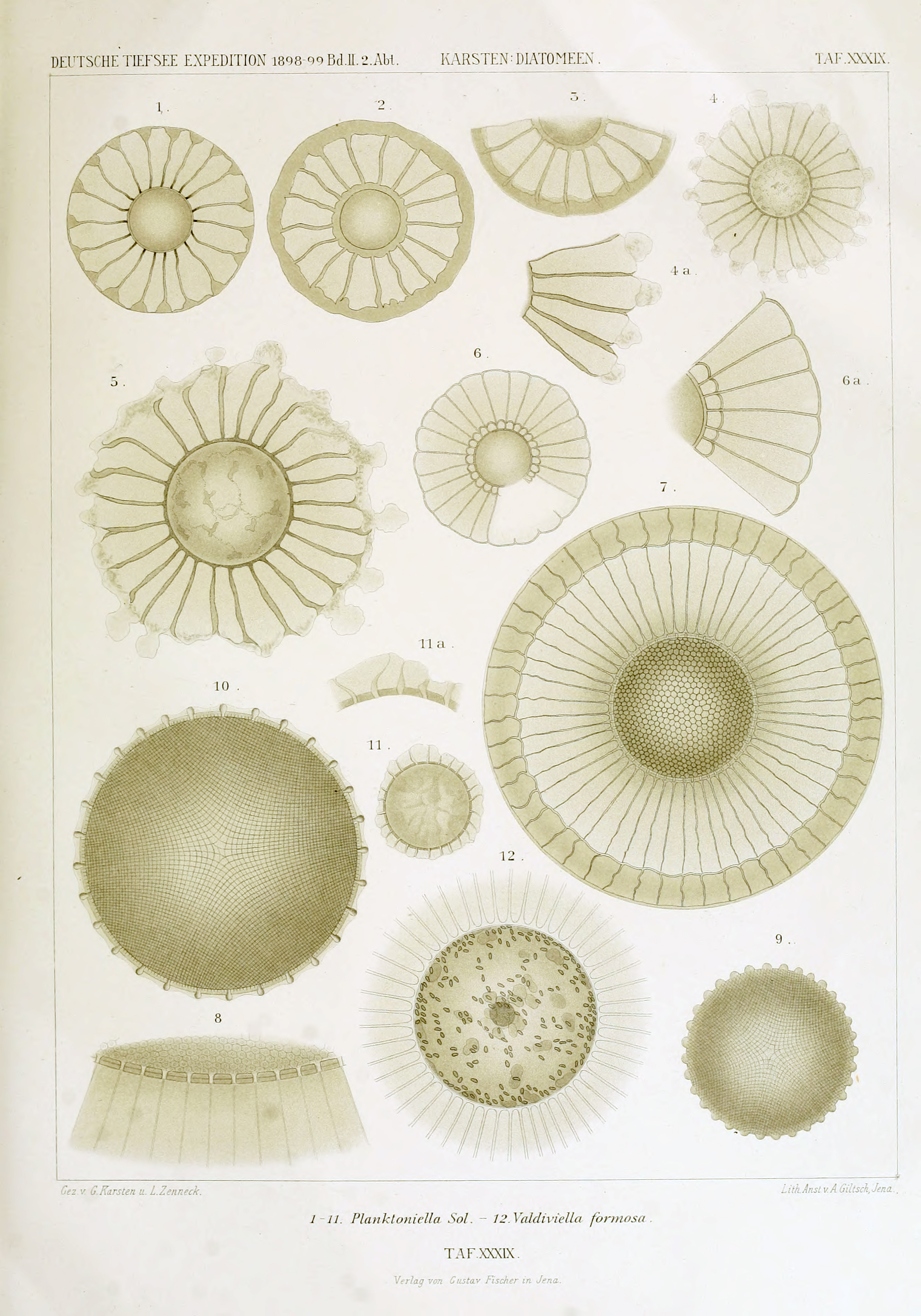 wissenschaftlich22chun_0711