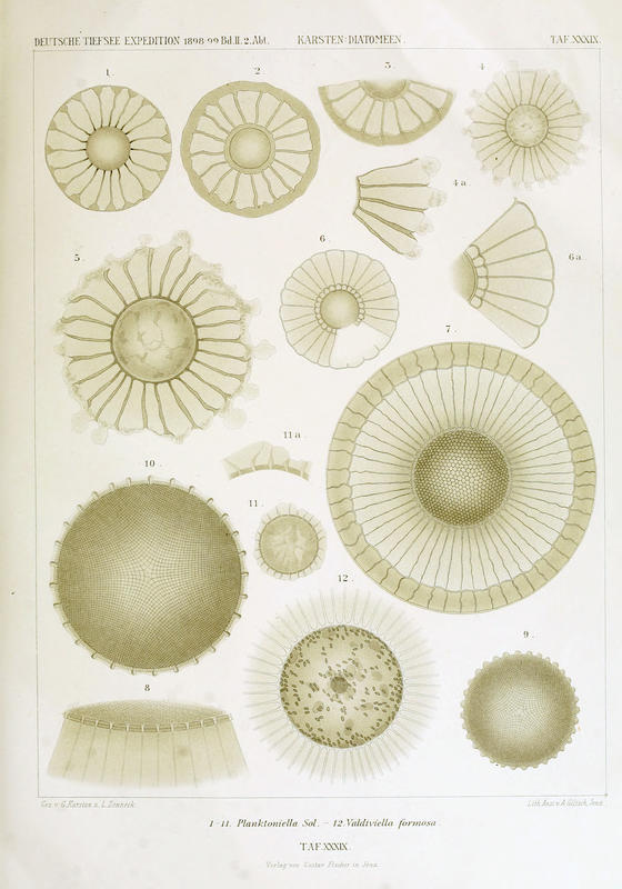 wissenschaftlich22chun_0711