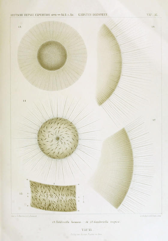 wissenschaftlich22chun_0715