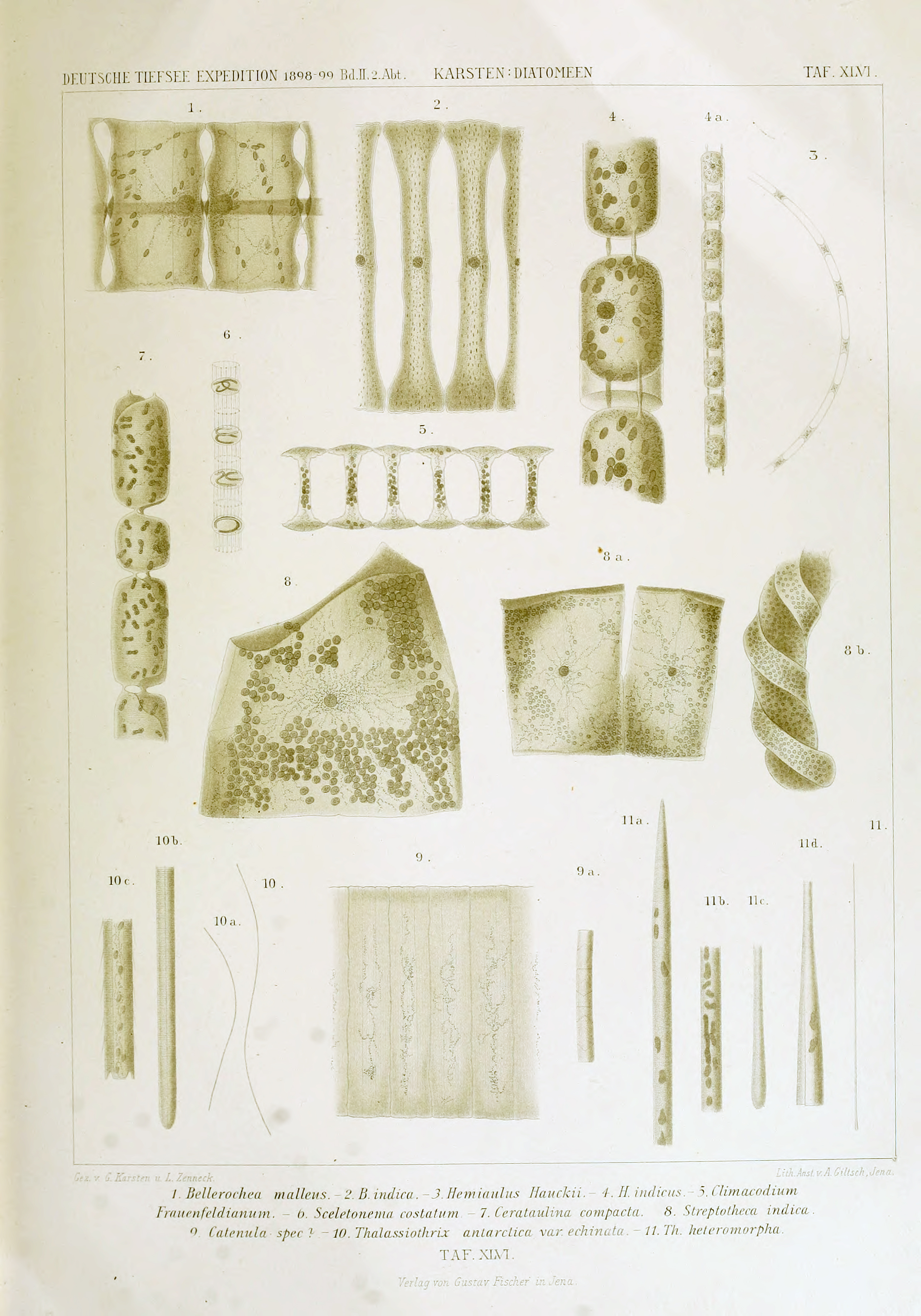 wissenschaftlich22chun_0737