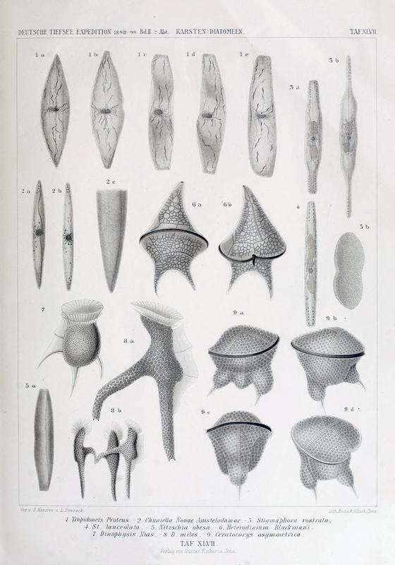 wissenschaftlich22chun_0741