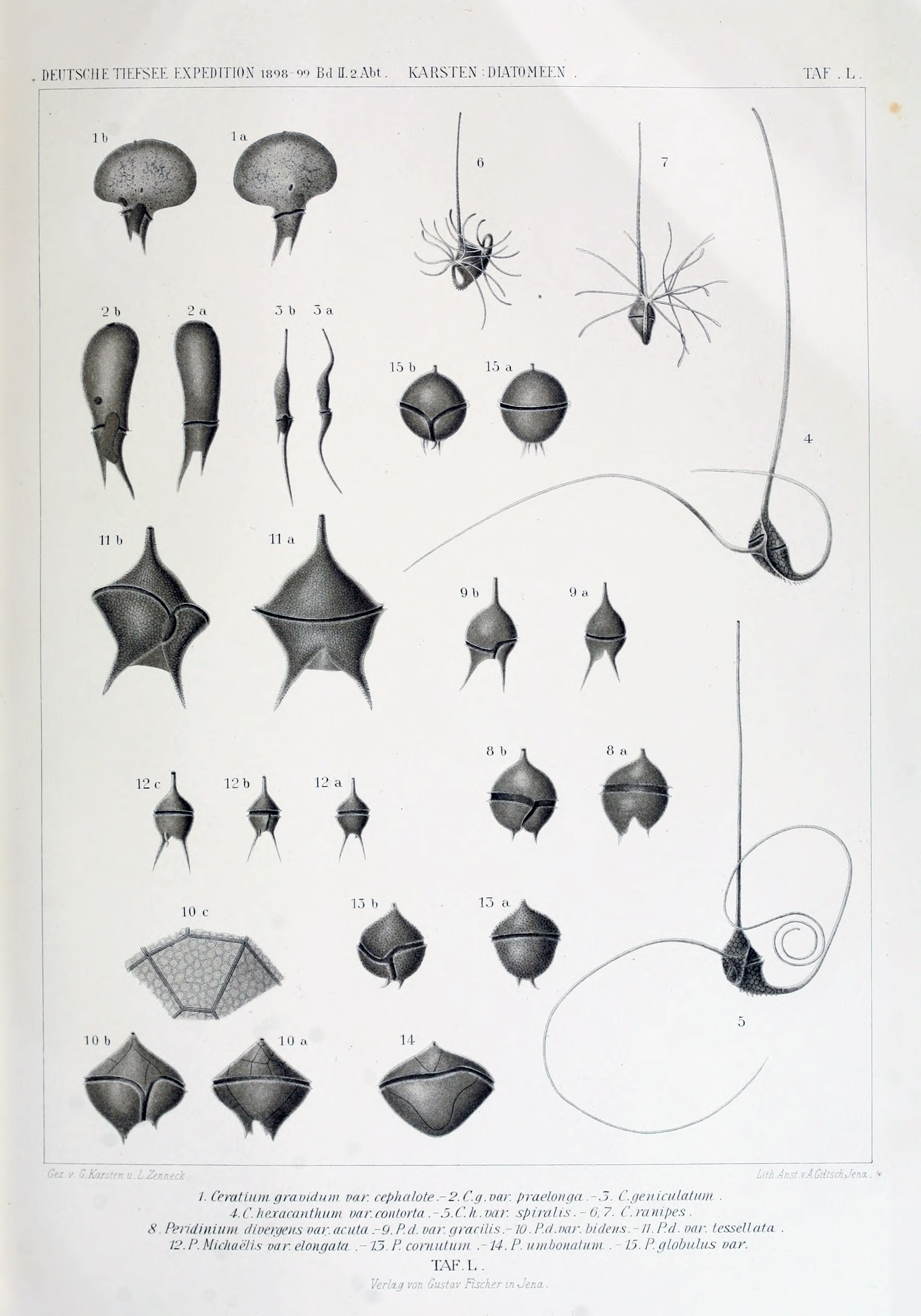 wissenschaftlich22chun_0753