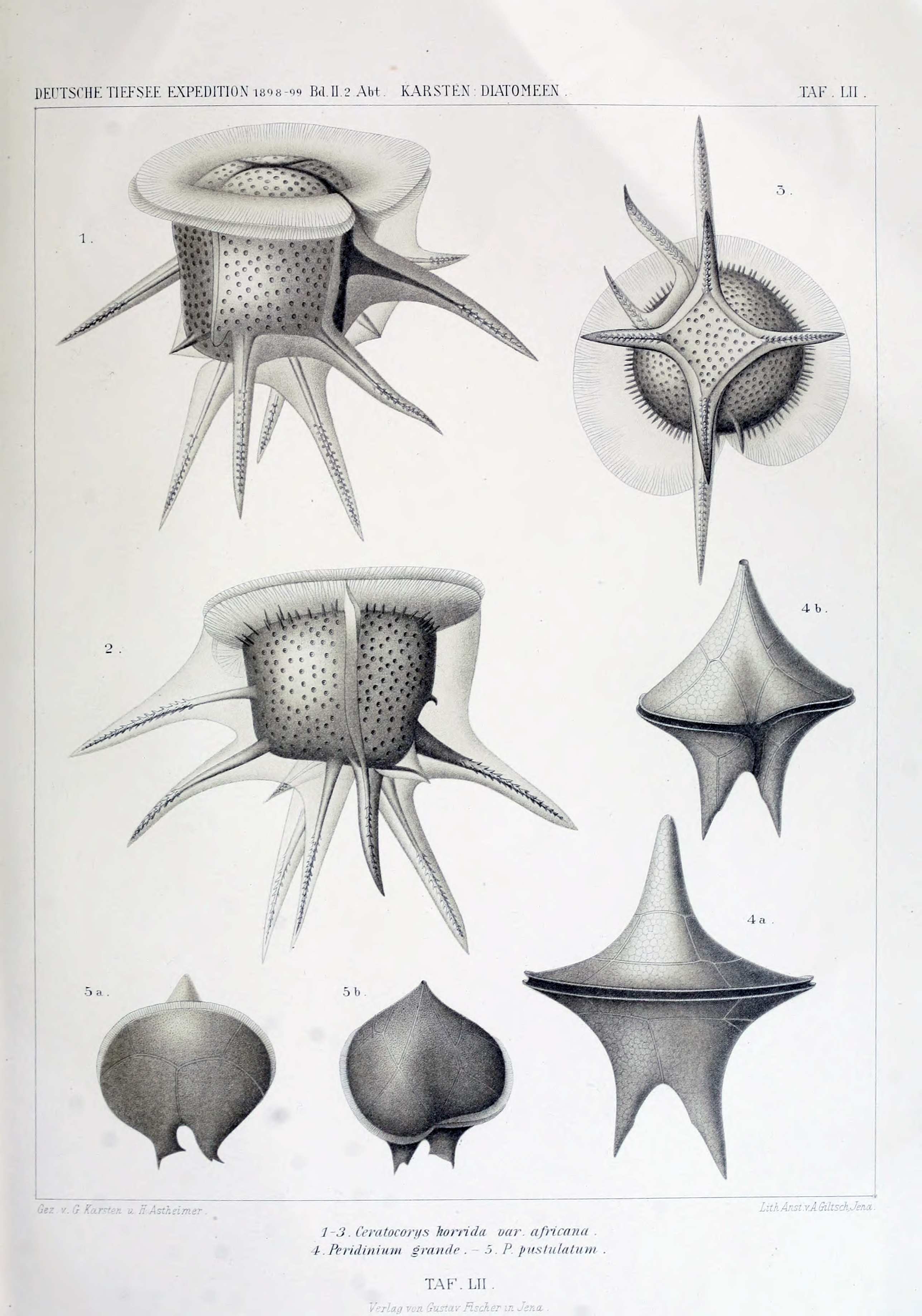 wissenschaftlich22chun_0761