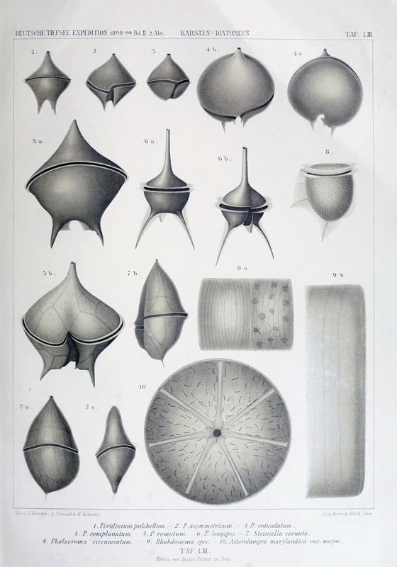 wissenschaftlich22chun_0765