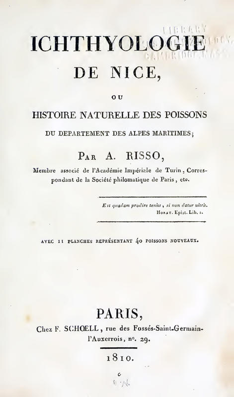 1810RissoCvr