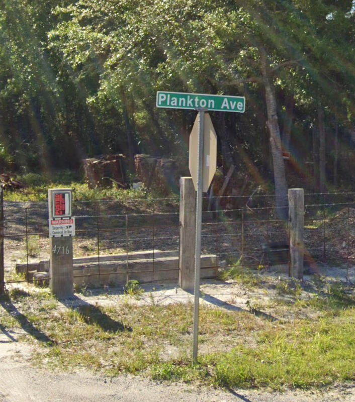 Plankton Avenue in Florida