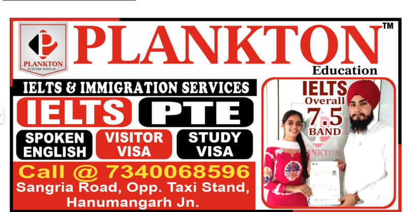 Plankton English Language School