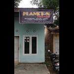 Plankton Thrift Shop