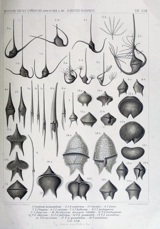 wissenschaftlich22chun_0319