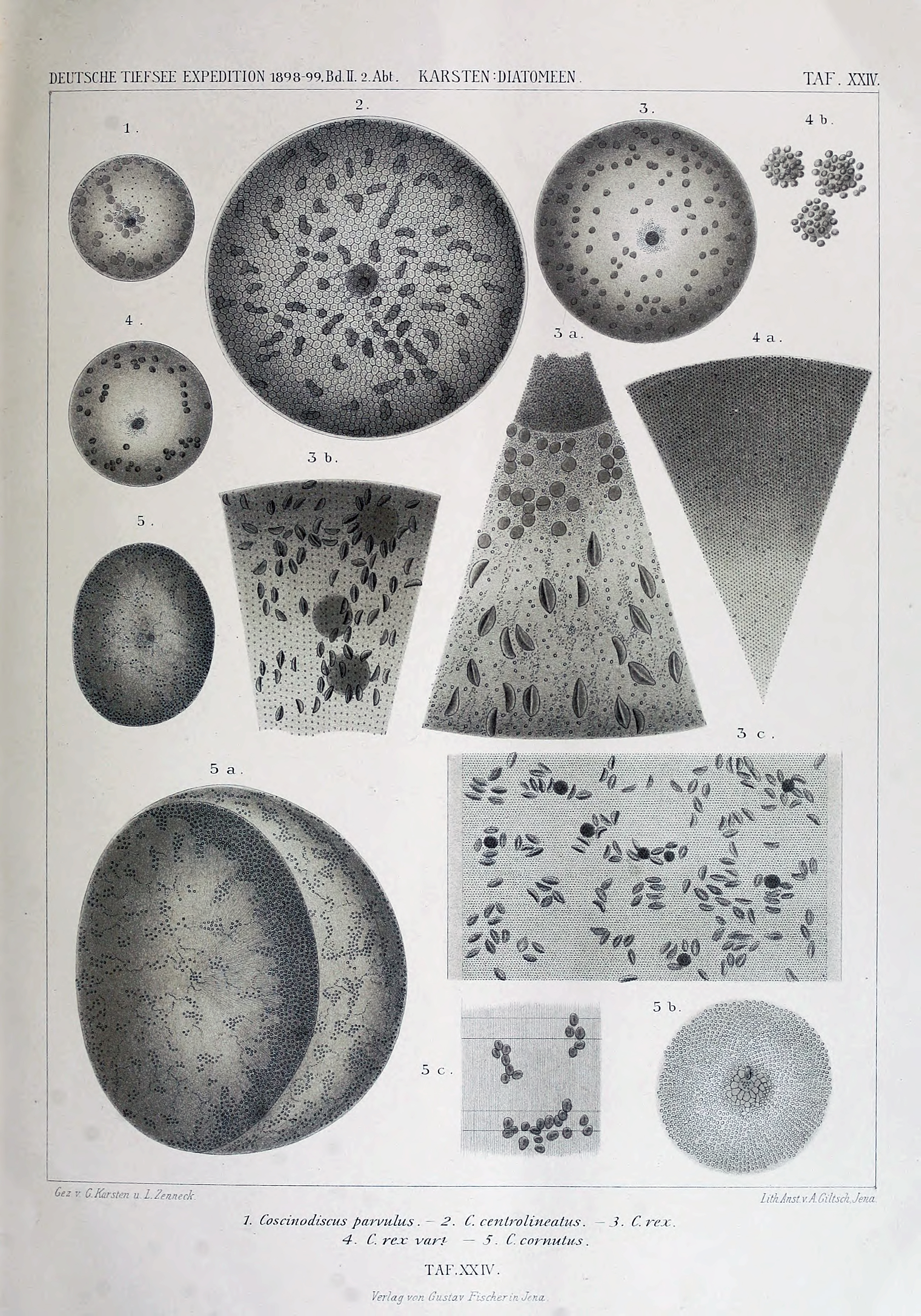 wissenschaftlich22chun_0323