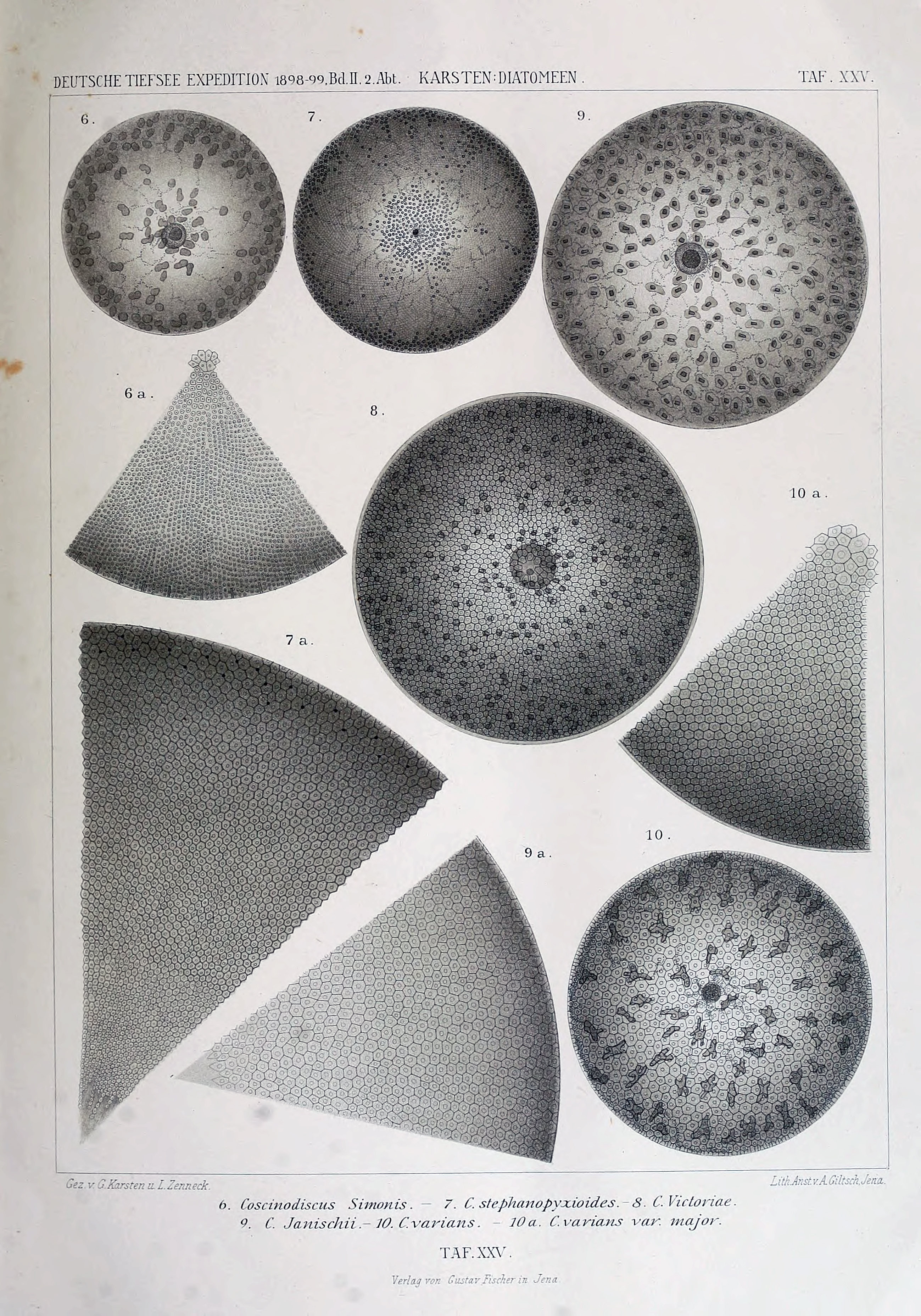 wissenschaftlich22chun_0327