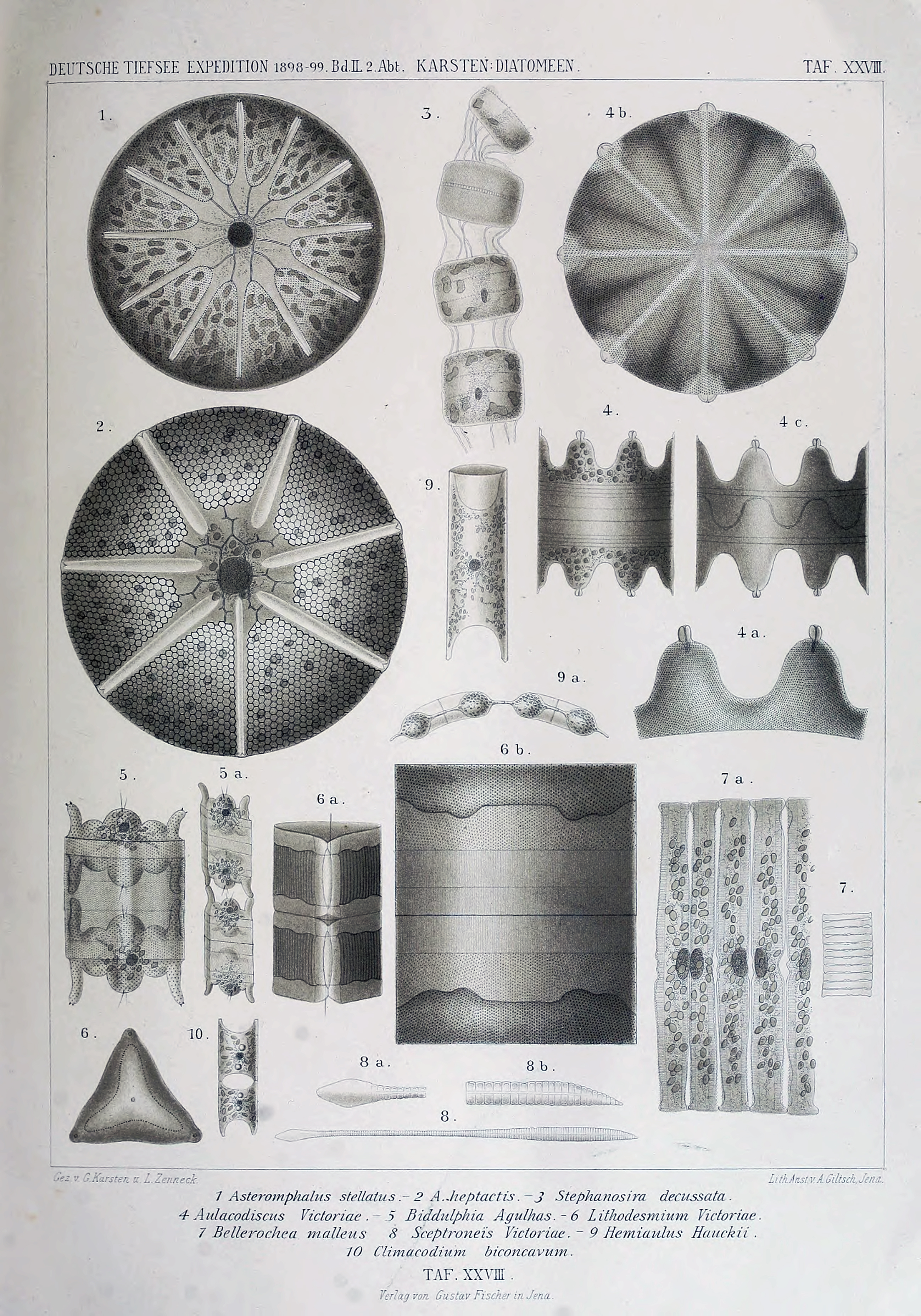 wissenschaftlich22chun_0339