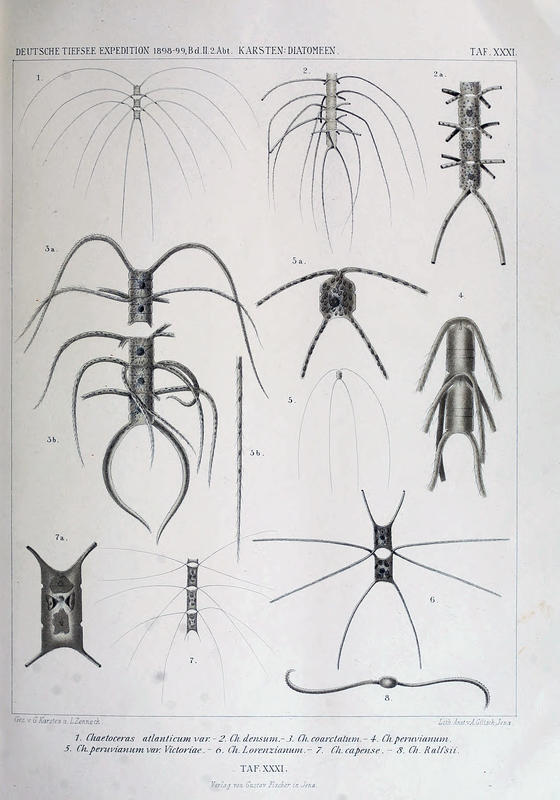 wissenschaftlich22chun_0351