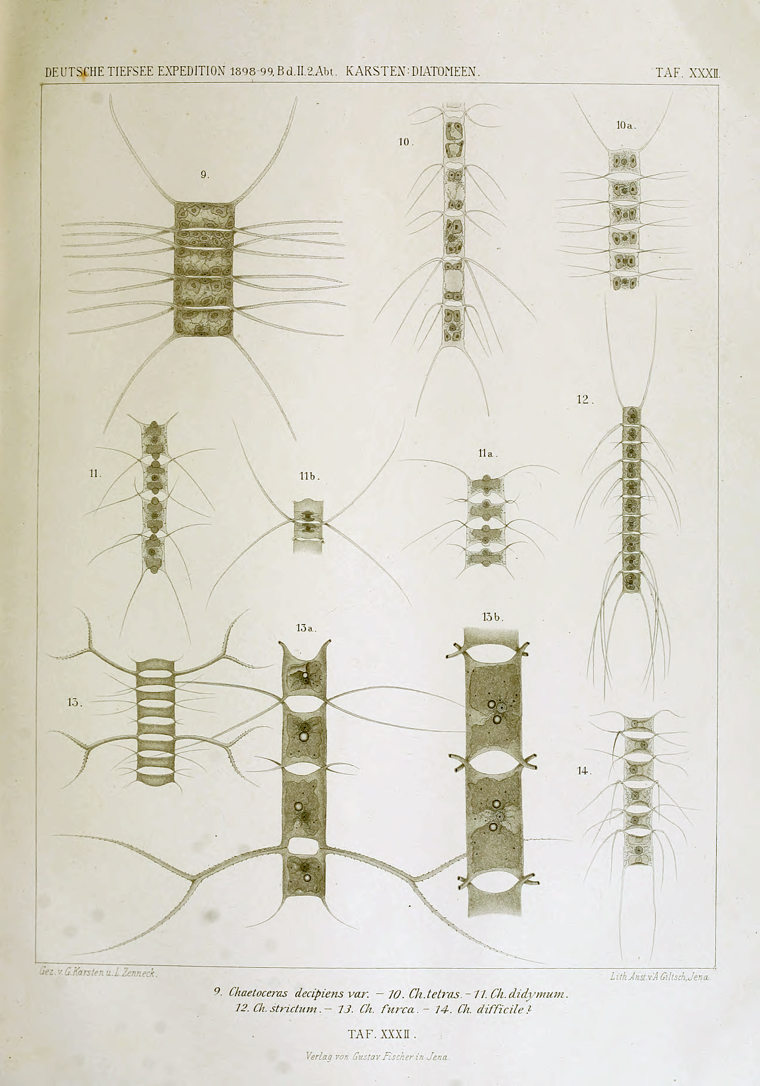 wissenschaftlich22chun_0355