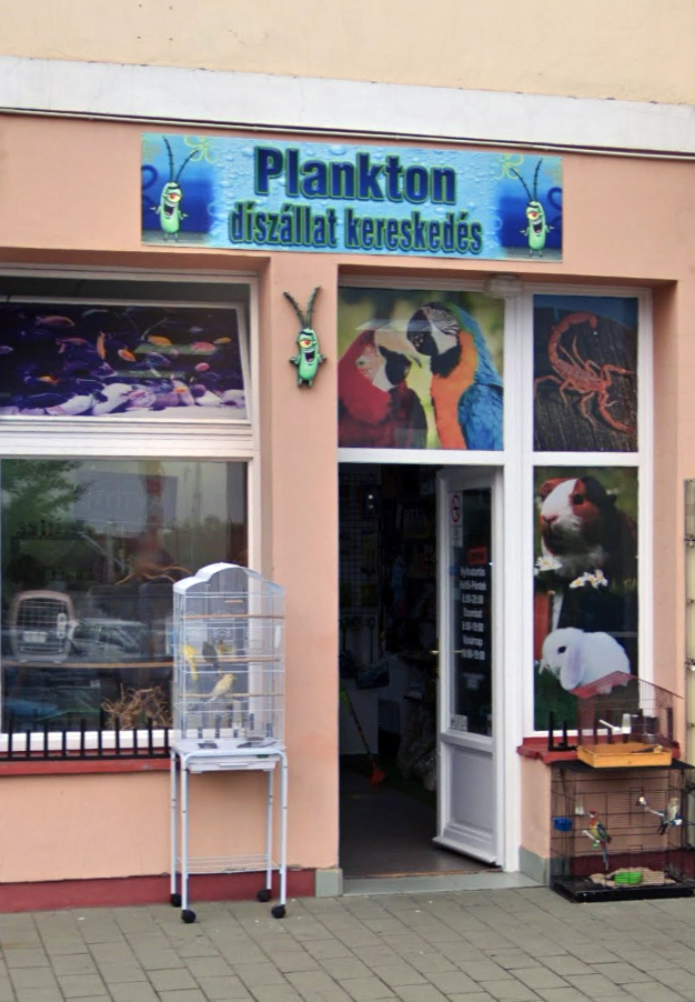 Plankton Pet Store in Hungary