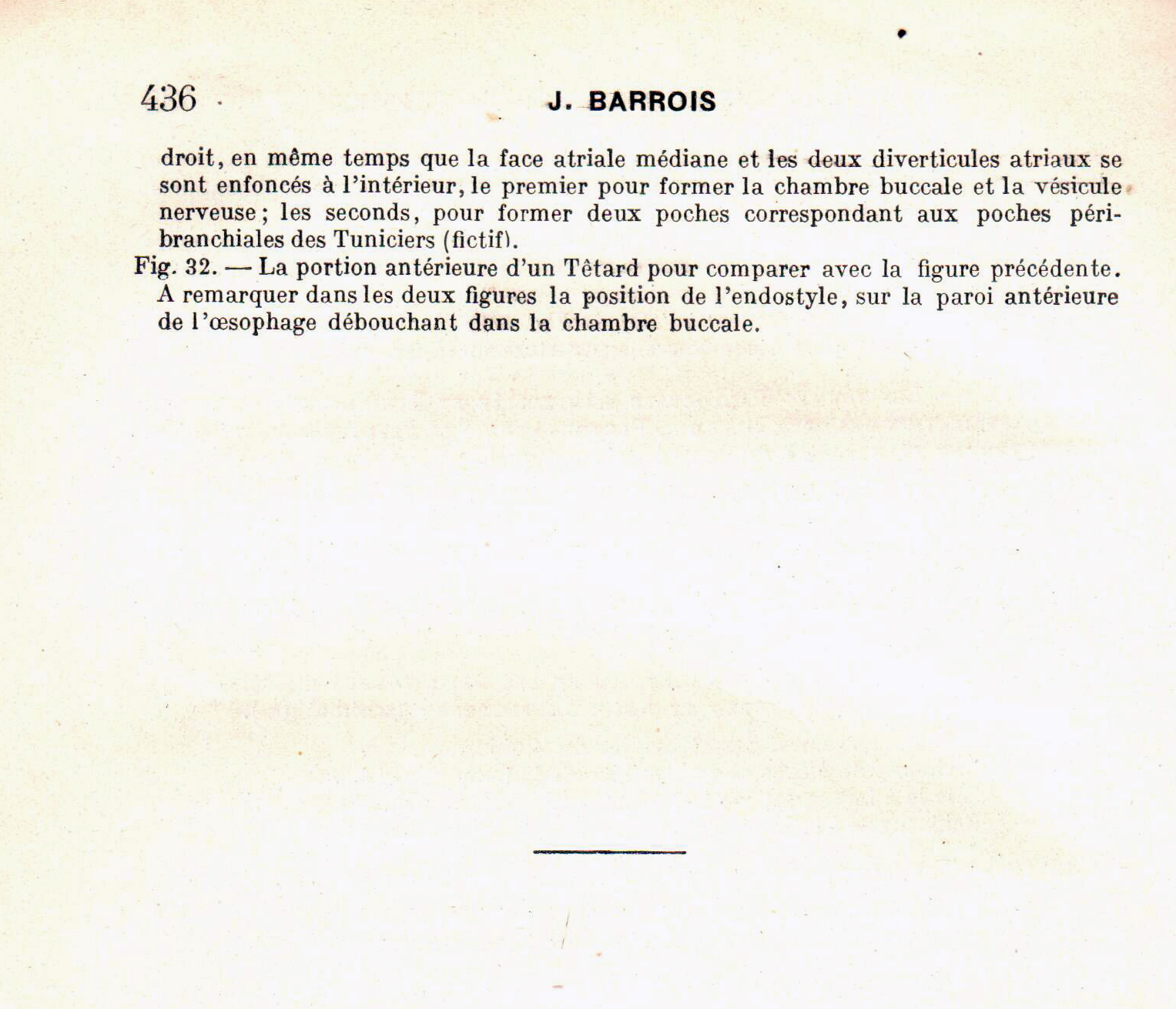 Barroi1924e15