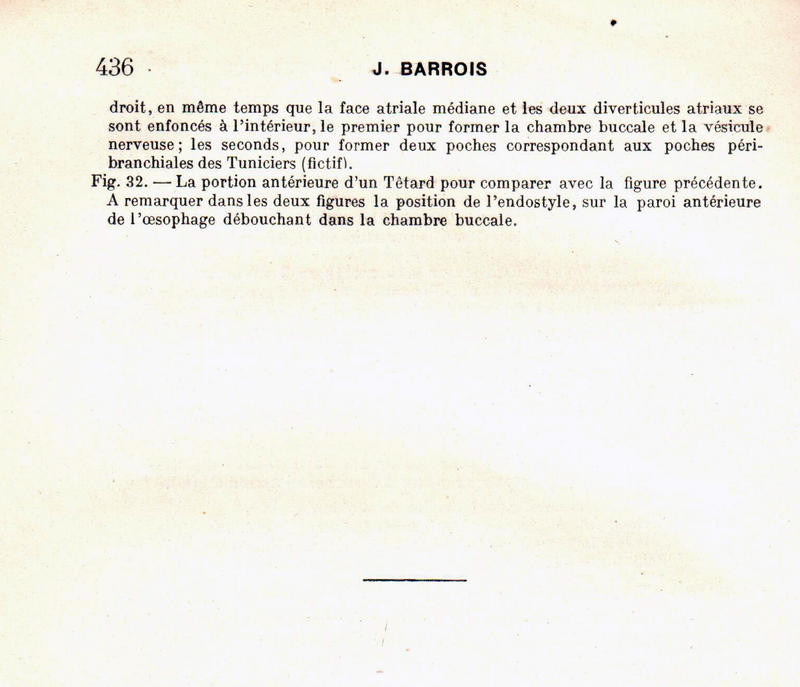 Barroi1924e15