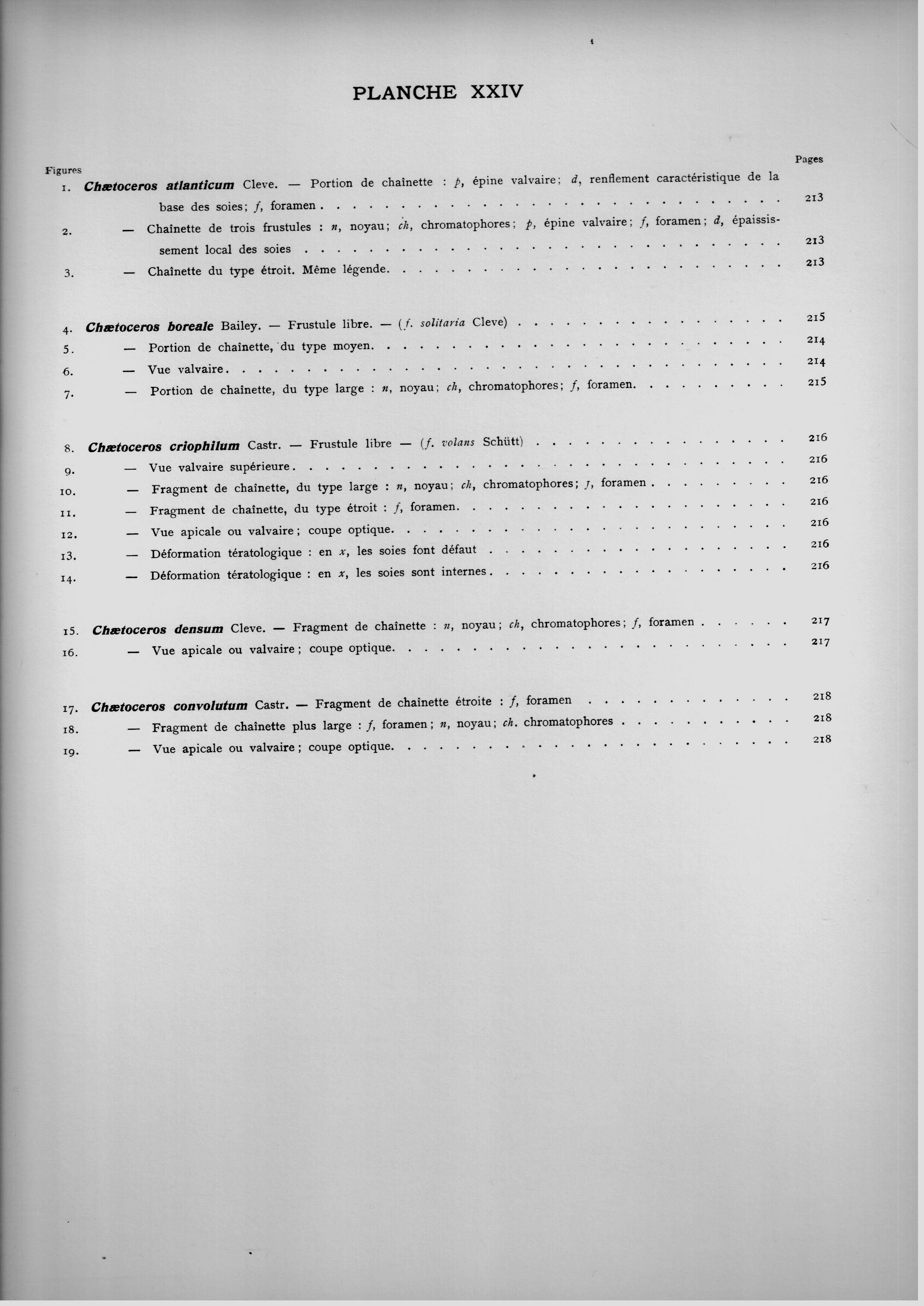 p24