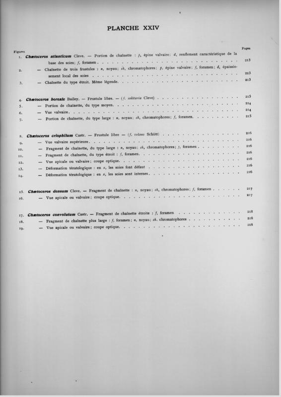 p24