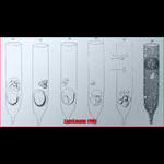 Parasite development in Tintinnopsis radix mistaken for gamete production by Laackmann.