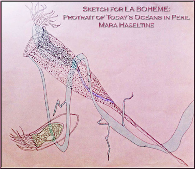 Sketch for La Boheme by Mara Haseltine